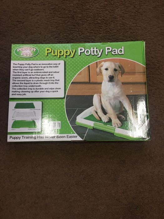 Лоток для собак