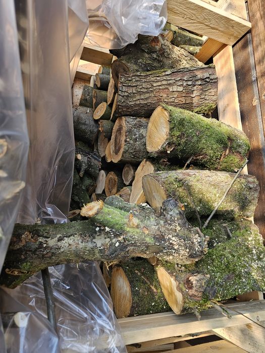 Drewno oddam za darmo