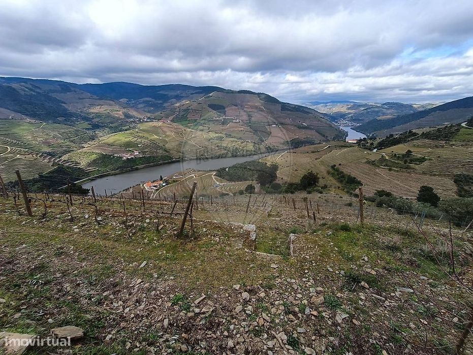 Terreno  para venda