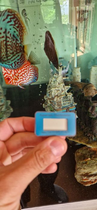 Termómetro digital para aquário