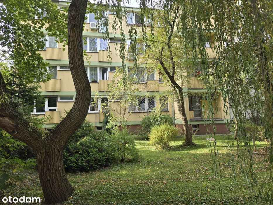 3pokoje, balkon, oddzielna kuchnia |  Do remontu.