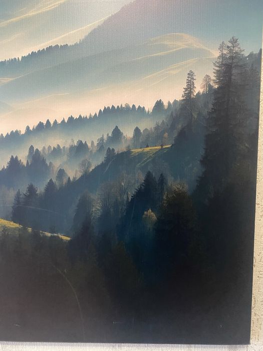 Продам картину еко - холст 120 см на 80 см преміум + лак