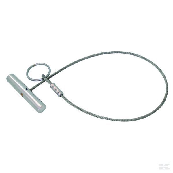 Pętla poskromu Trops