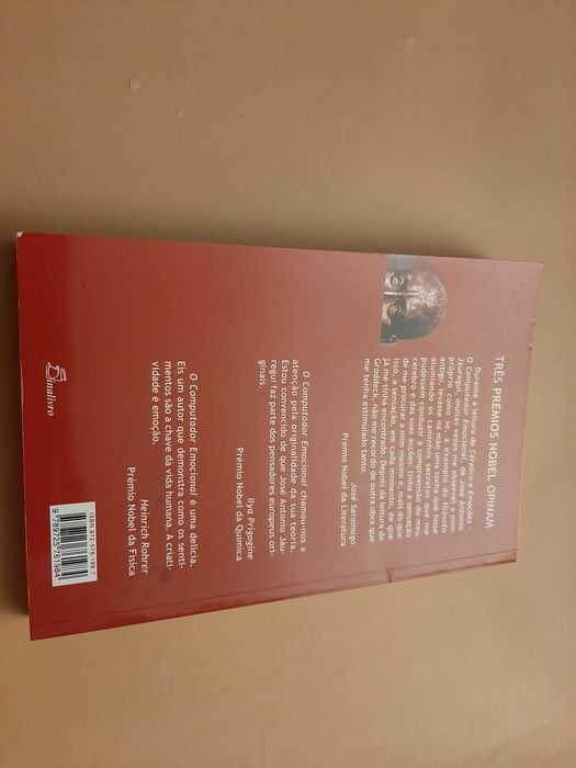 Cérebro e Emoções: o Computador Emocional