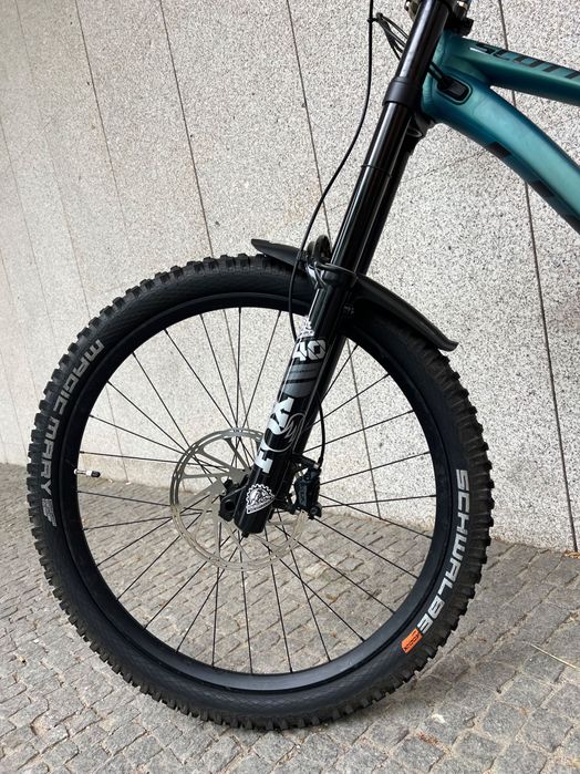 Scott gambler 910 de 2024 DH