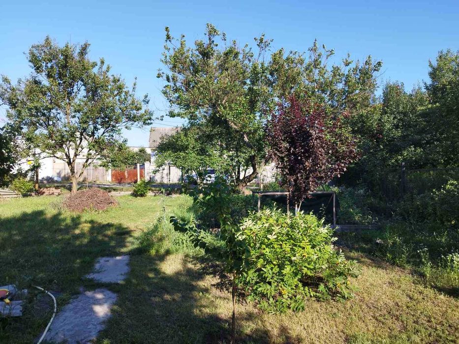 Продам дачу в с/т Восход рядом с Кристальным в Новоалександровке