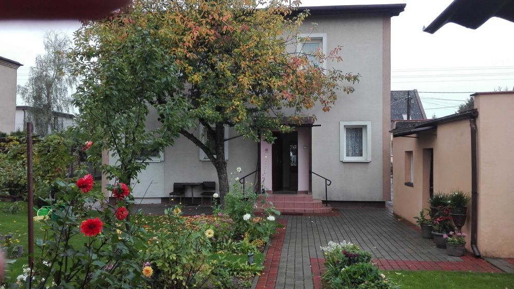 Pokój Miedzyń tylko 1200 zł bez kaucji żadnych opłat starszy mężczyzna