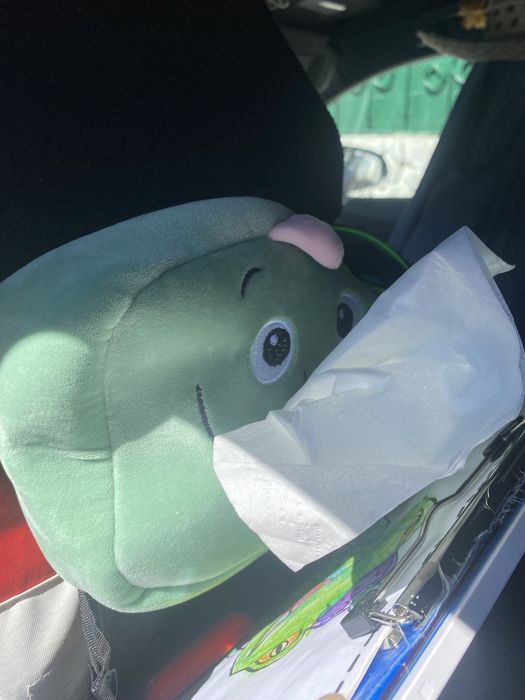 Guarda toalhitas para o carro Dino Dispensador de lenços/guardanapos