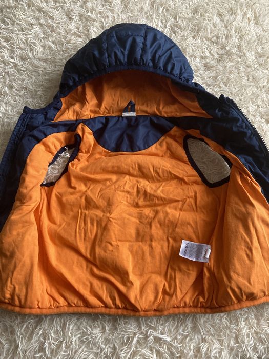 Безрукавка весняна