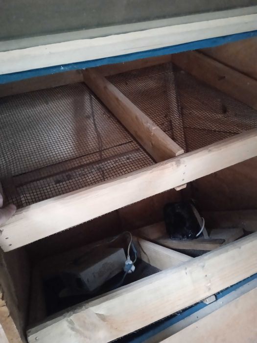 Інкубатор на 1000 яєць