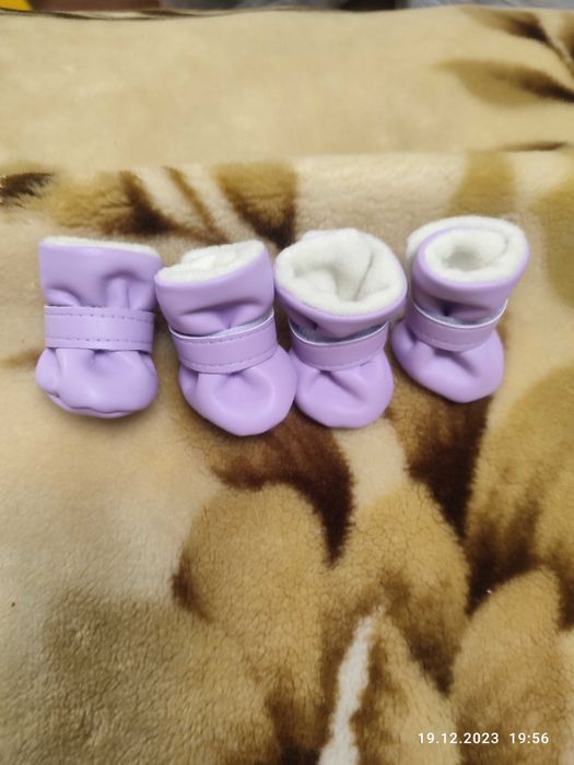 Чобітки для собак