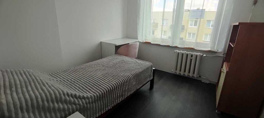 Zdjęcie 3