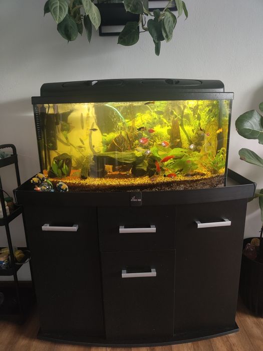 Akwarium 112 L zestaw z szafką diversa czytaj opis