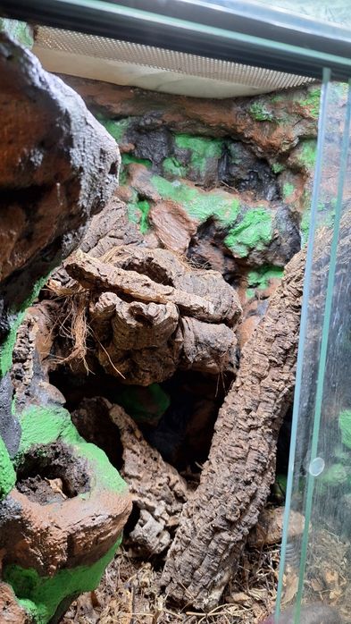 Terrarium z oświetleniem