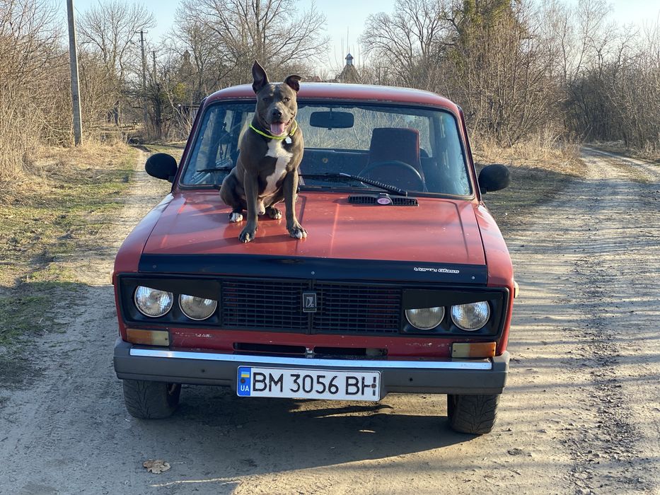 Продам ВАЗ 2106 на впевненому ходу