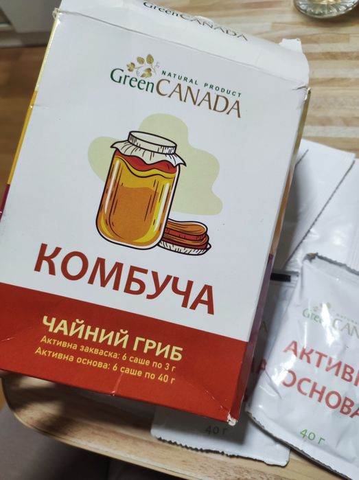 Комбуча. Закваска для приготування напою.