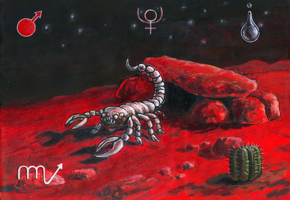 Arte, desenho, ilustraçao, pintura original, acrílico sobre tela, signos  escorpião