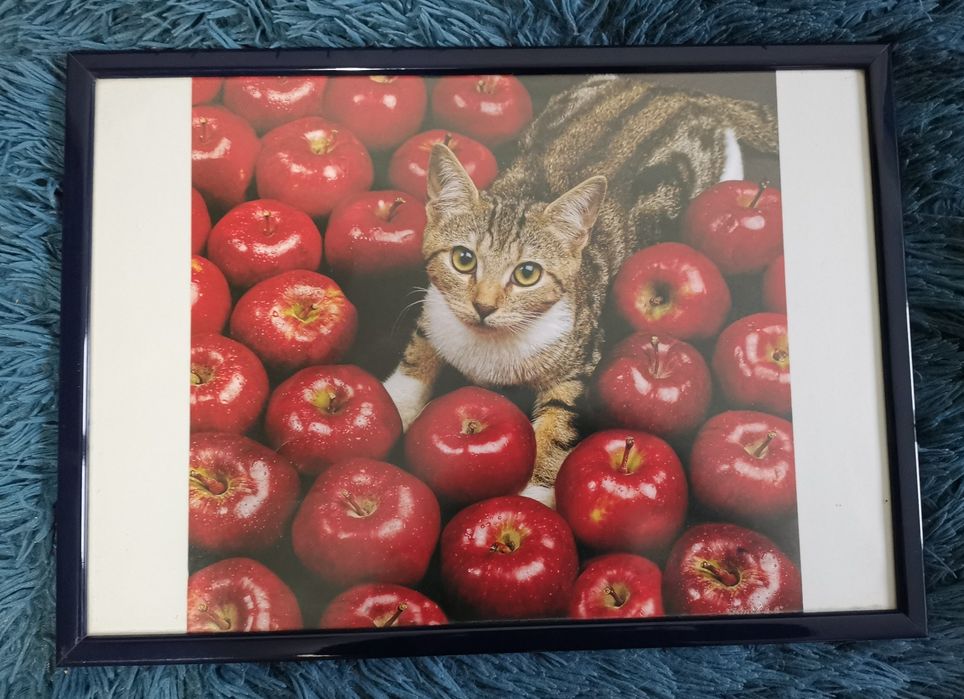 Quadro moldura tons de azul