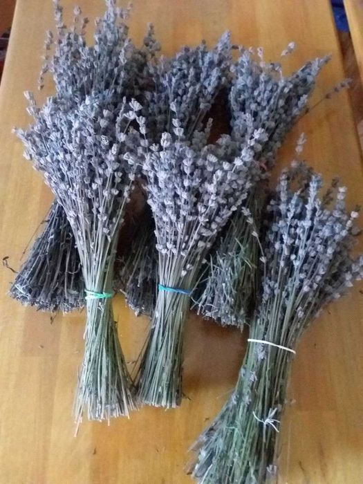 Лавандовые букетики