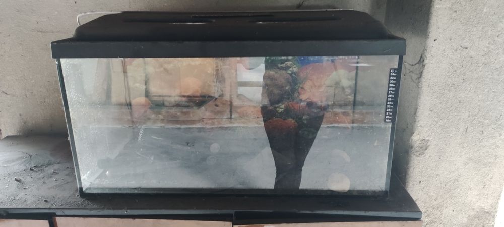 Akwarium profilowane 102L