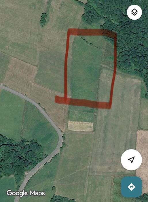 Widokowa dzialka 60 lub 30 arów, Mogilno, gmina Korzenna. Okazja 4 500 zł/ar!! - View 4