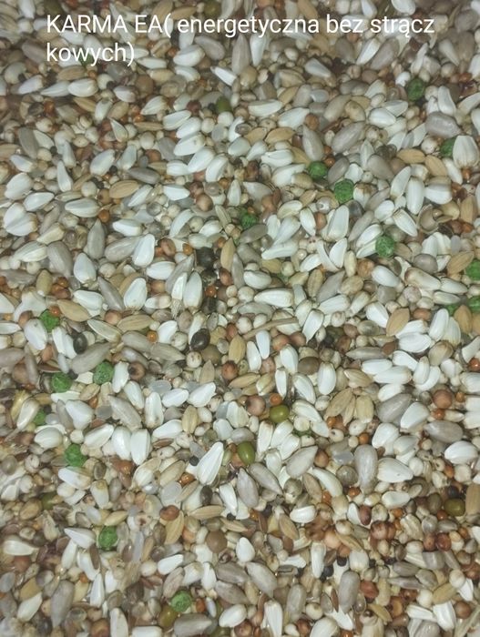 Karma dla gołębi Radpol.