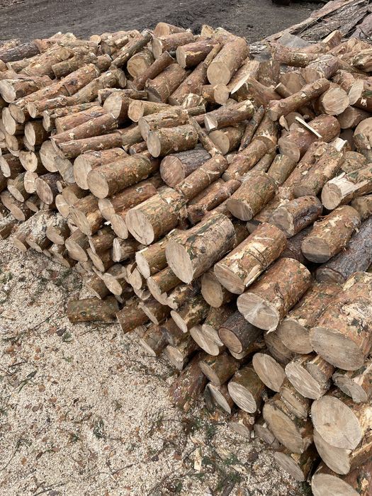 Продам дрова різних порід