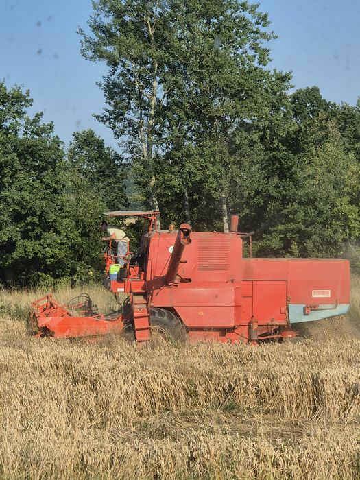 Sprzedam bizona super zo56
