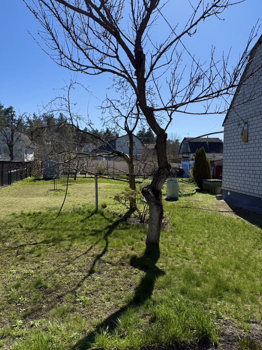 Продається дача в с.Будище кооператив «Дружба»