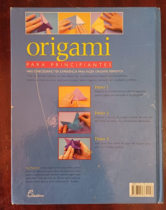 Nick Robinson - Origami para Principiantes