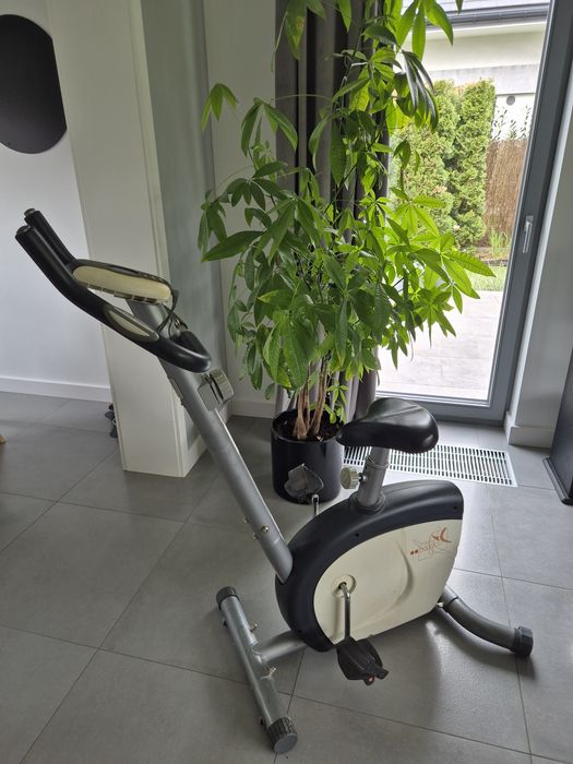 Rower treningowy