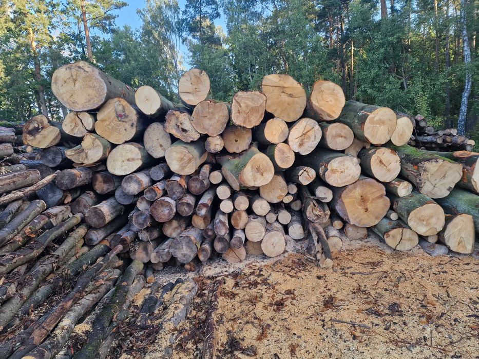 Drewno kominkowe dab buk