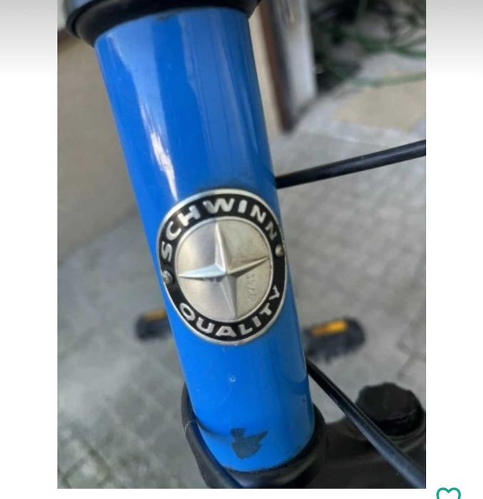 Rower damski Schwimm