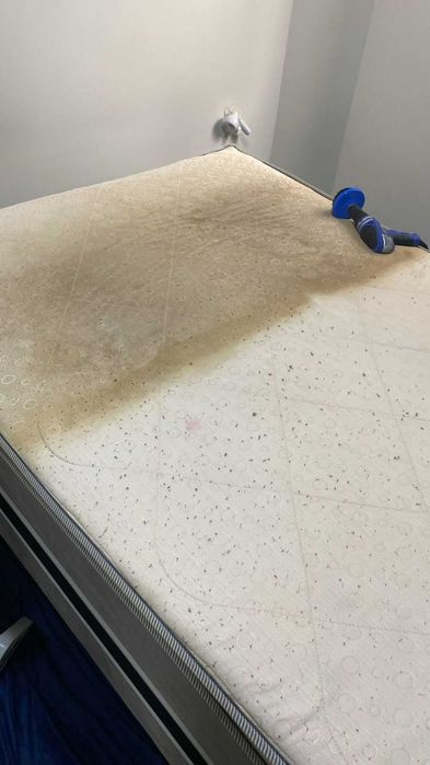 Higienização de Sofá, colchões e carros / Pinturas de casa em Geral