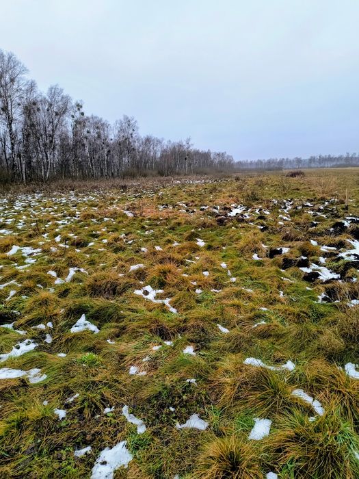 Działka rekreacyjna 3004 m2 w Karwiku, jezioro Seksty, Mazury