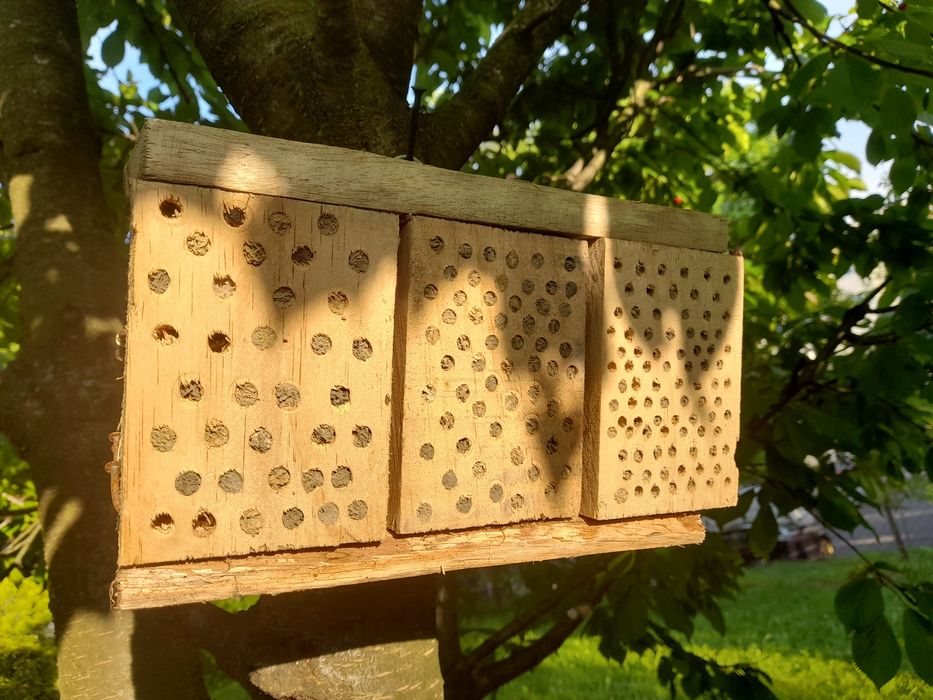 Domek Hotel dla pszczół/ murarek / owadów SOLIDNY