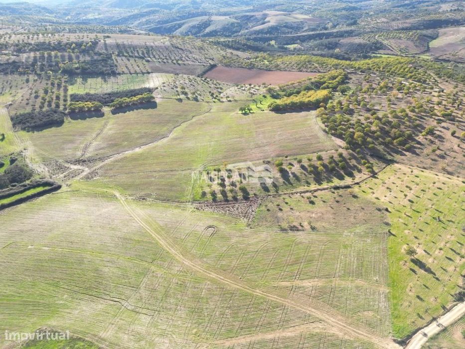 Propriedade Agrícola Parada - Bragança