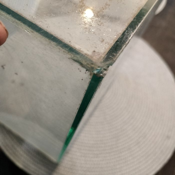 Akwarium proste około 20 litrów