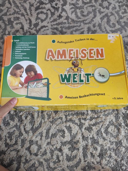 Akwarium dla mrówek