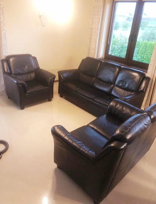 Меблі з натуральної шкіри