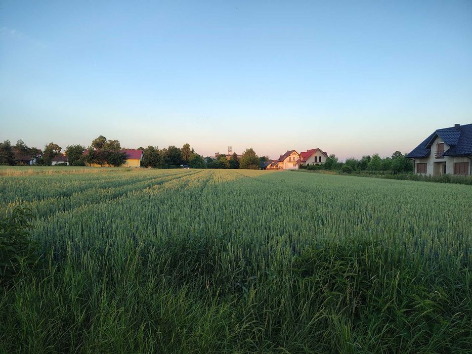 Działki budowlane - Rogów Sobócki