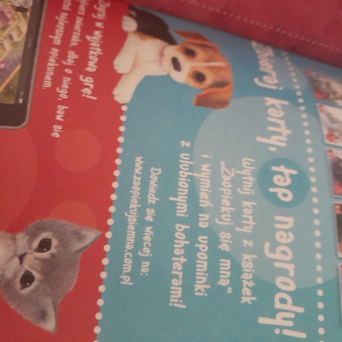 Nowa książka z serii Zaopiekuj się mną Holly Webb Czaruś