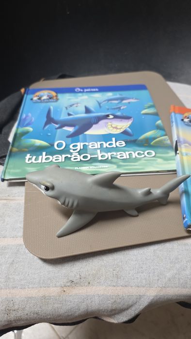 Livros com figuras