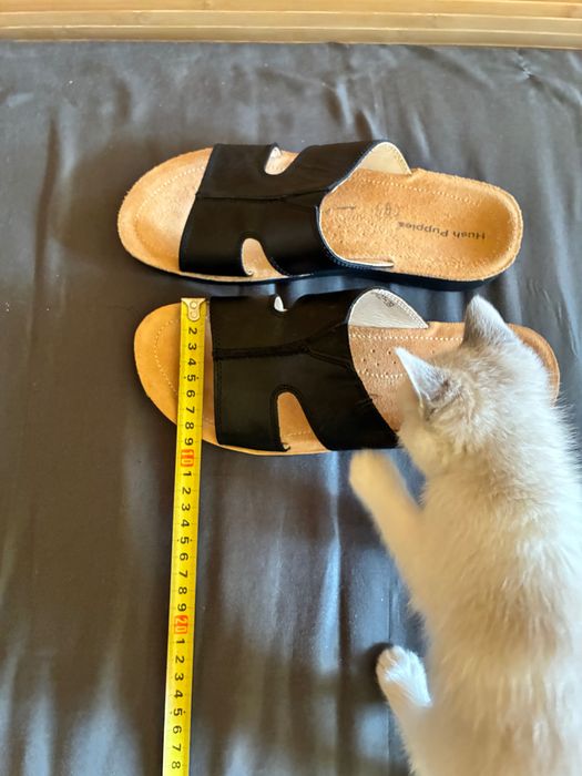 Сандалі (шльопанці) від Hush Puppies. 39 (25,5 см)р-р