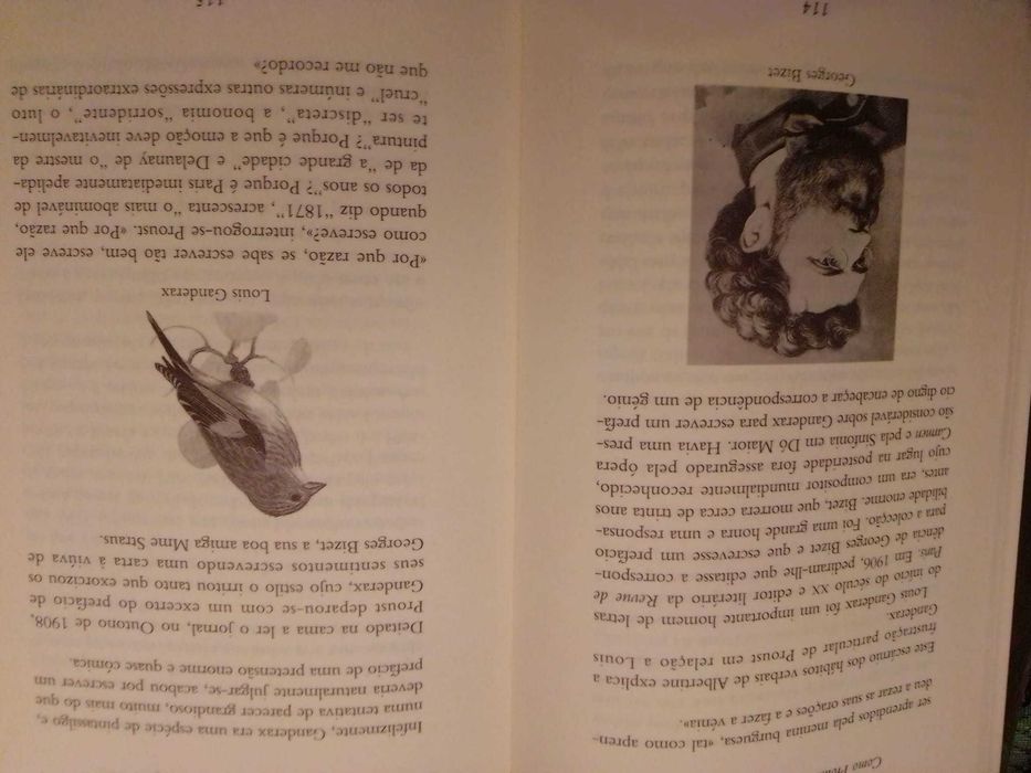 Livro " Como Proust pode mudar sua vida"