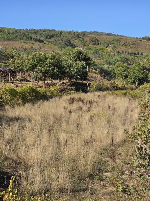 Terreno rústico Estreito vilar-barroco