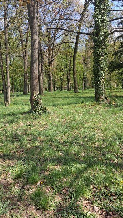 Porządki w ogrodzie