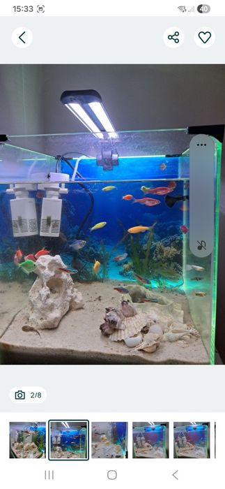 Akwarium 30 L kostka