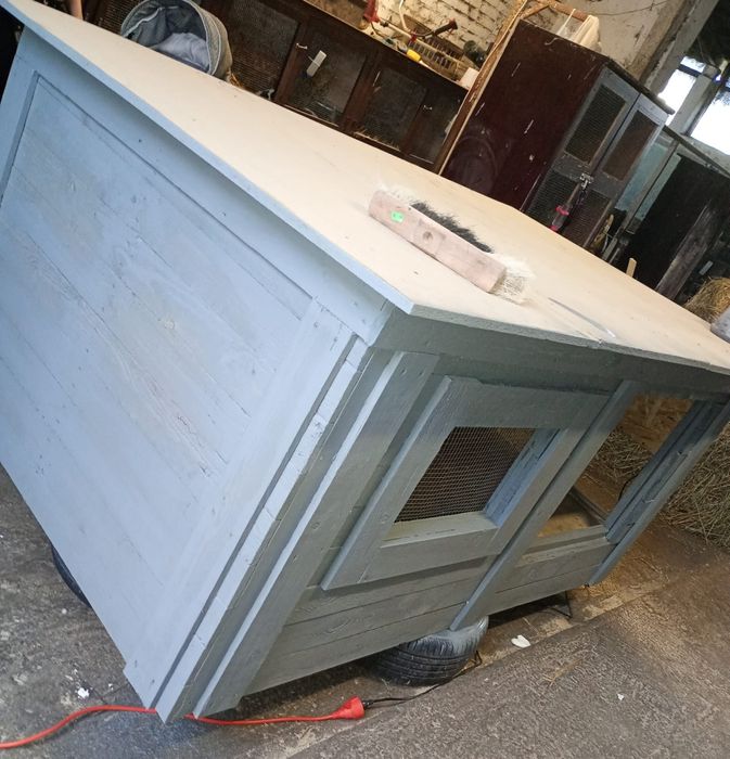 Na sprzedaż kurnik wraz z kurkami Silka