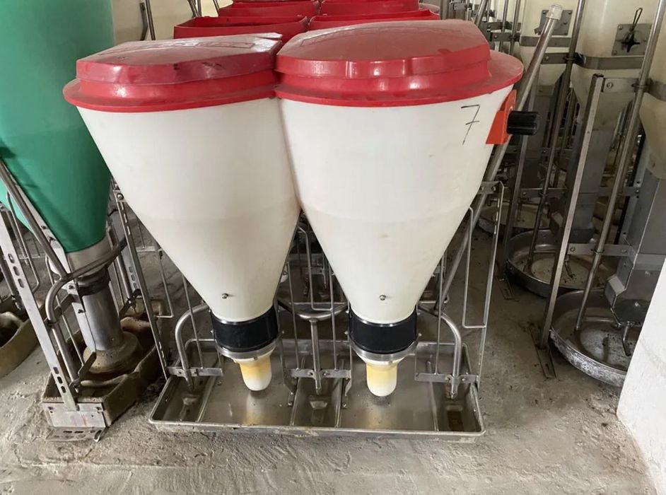 Кормовий автомат , тубомат , дорощування, відгодівля привезені з Данії